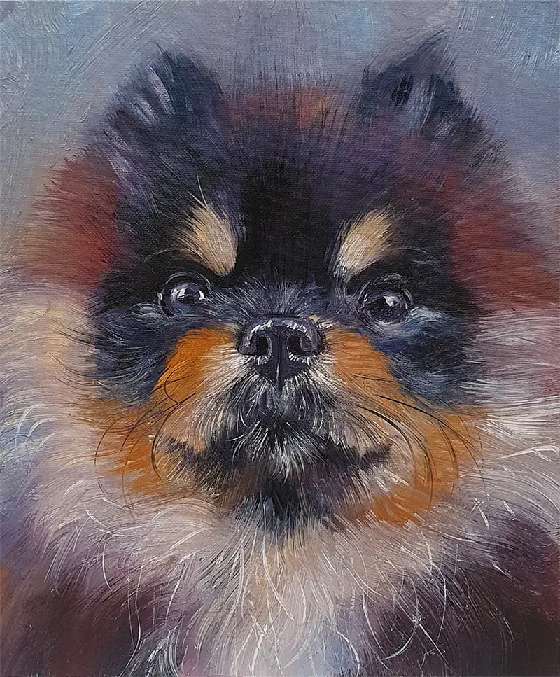 Kuba